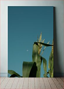 Πίνακας, Cornfield Under Clear Sky Cornfield κάτω από καθαρό ουρανό