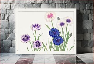 Πίνακας, Cornflower flower, Japanese woodblock art