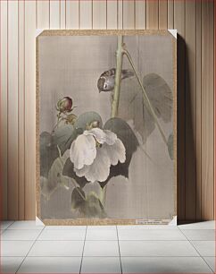 Πίνακας, Cotton Rose Mallows in the Rain by Okada Baison