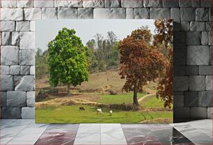 Πίνακας, Countryside Landscape with Trees and Cattle Εξοχικό τοπίο με δέντρα και βοοειδή