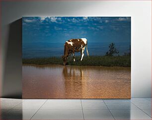 Πίνακας, Cow Drinking by the Lake Αγελάδα που πίνει δίπλα στη λίμνη