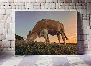 Πίνακας, Cow Grazing at Sunset Αγελάδα που βόσκει στο ηλιοβασίλεμα