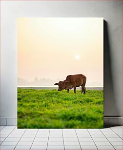 Πίνακας, Cow Grazing in a Field at Sunset Αγελάδα που βόσκει σε ένα χωράφι στο ηλιοβασίλεμα