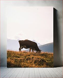 Πίνακας, Cow Grazing in Mountain Meadow Αγελάδα που βόσκει στο ορεινό λιβάδι