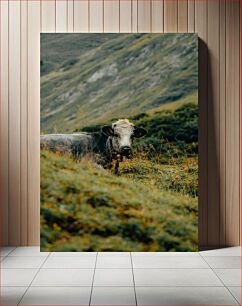 Πίνακας, Cow in a Mountain Meadow Αγελάδα σε ορεινό λιβάδι