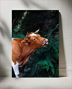 Πίνακας, Cow in Nature Αγελάδα στη φύση