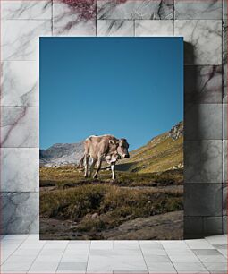 Πίνακας, Cow on a Mountain Landscape Αγελάδα σε ορεινό τοπίο