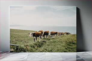 Πίνακας, Cows Grazing by the Ocean Αγελάδες που βόσκουν δίπλα στον ωκεανό