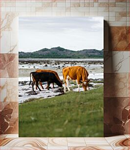 Πίνακας, Cows Grazing by the Shore Αγελάδες που βόσκουν στην ακτή