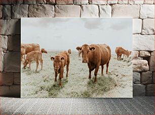 Πίνακας, Cows Grazing in a Pasture Αγελάδες που βόσκουν σε ένα λιβάδι