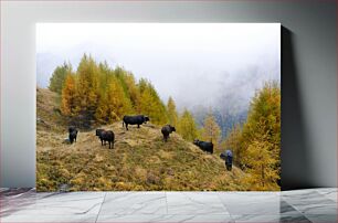 Πίνακας, Cows Grazing in Misty Mountain Landscape Αγελάδες που βόσκουν στο ομιχλώδες ορεινό τοπίο