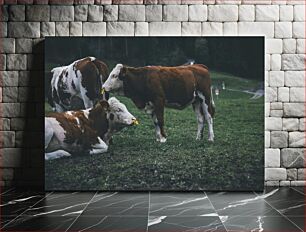 Πίνακας, Cows Grazing in the Field Αγελάδες που βόσκουν στο χωράφι