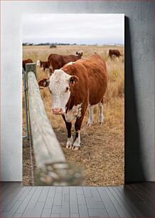 Πίνακας, Cows in a Field Αγελάδες σε ένα χωράφι