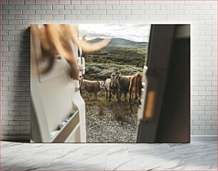 Πίνακας, Cows in a Field Viewed from a Camper Αγελάδες σε ένα χωράφι Προβολή από κατασκηνωτή