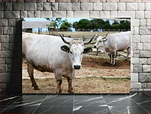 Πίνακας, Cows in the Field Αγελάδες στο χωράφι