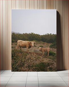 Πίνακας, Cows in the Wild Αγελάδες στην άγρια ​​φύση