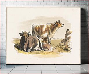 Πίνακας, Cows