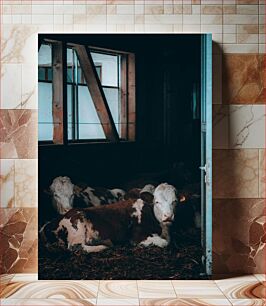Πίνακας, Cows Resting in Barn Αγελάδες που ξεκουράζονται στον αχυρώνα