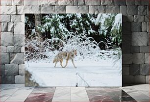 Πίνακας, Coyote in the Snowy Forest Κογιότ στο Χιονισμένο Δάσος