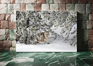 Πίνακας, Coyote in Winter Forest Κογιότ στο χειμερινό δάσος