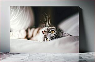 Πίνακας, Cozy Cat in Bed Άνετη γάτα στο κρεβάτι