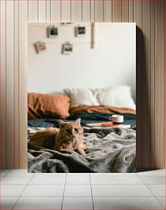 Πίνακας, Cozy Cat on Bed Άνετη γάτα στο κρεβάτι