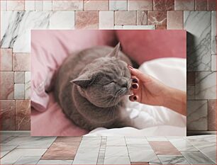 Πίνακας, Cozy Cat Relaxing Άνετη γάτα που χαλαρώνει