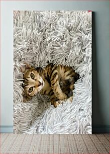 Πίνακας, Cozy Kitten in a Fluffy Blanket Άνετο γατάκι με αφράτη κουβέρτα