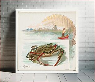 Πίνακας, Crab, from Fish from American Waters series (N39) for Allen & Ginter Cigarettes issued by Allen & Ginter