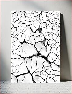 Πίνακας, Cracked Earth Texture Ραγισμένη γήινη υφή