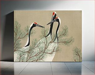 Πίνακας, Cranes from Momoyogusa–Flowers of a Hundred Generations (1909) by Kamisaka Sekka