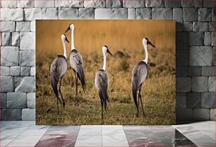 Πίνακας, Cranes in the Meadow Γερανοί στο Λιβάδι
