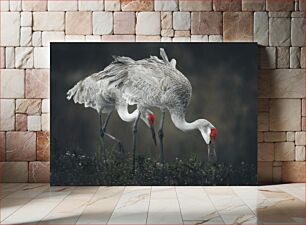Πίνακας, Cranes in the Wild Γερανοί στην άγρια ​​φύση