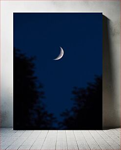 Πίνακας, Crescent Moon in Night Sky Ημισέληνος στο νυχτερινό ουρανό