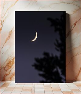 Πίνακας, Crescent Moon in the Night Sky Ημισέληνος στον νυχτερινό ουρανό