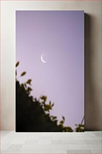 Πίνακας, Crescent Moon in Twilight Sky Ημισέληνος στον ουρανό του λυκόφωτος