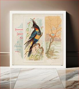 Πίνακας, Crested Sparactes, from the Song Birds of the World series (N42) for Allen & Ginter Cigarettes