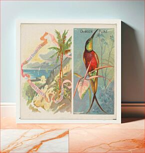 Πίνακας, Crimson Topaz, from Birds of the Tropics series (N38) for Allen & Ginter Cigarettes issued by Allen & Ginter, George S. Harris & Sons (lithographer)