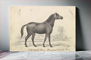 Πίνακας, Crisp-Haired Horse, Primeval Black Stock by Charles Hamilton Smith