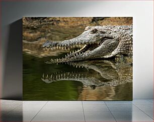 Πίνακας, Crocodile by the Water Κροκόδειλος δίπλα στο νερό