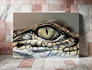 Πίνακας, Crocodile Eye Close-up Κροκόδειλος Μάτι Κοντινό πλάνο