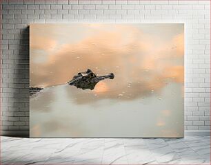 Πίνακας, Crocodile in Calm Waters Κροκόδειλος σε ήρεμα νερά