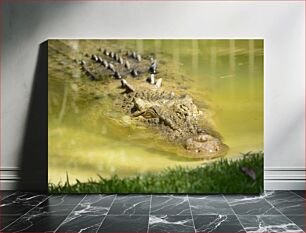 Πίνακας, Crocodile in Shallow Water Κροκόδειλος σε ρηχά νερά