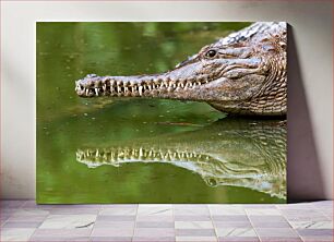 Πίνακας, Crocodile Reflection Αντανάκλαση κροκοδείλου