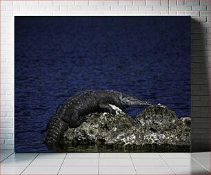 Πίνακας, Crocodile Resting on Rocks Κροκόδειλος που στηρίζεται σε βράχους