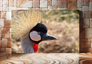 Πίνακας, Crowned Crane in Profile Στεφανωμένος Γερανός στο Προφίλ