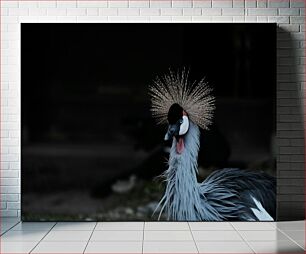 Πίνακας, Crowned Crane in the Dark Στεμμένος γερανός στο σκοτάδι