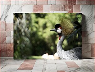 Πίνακας, Crowned Crane in the Wilderness Γερανός εστεμμένος στην ερημιά