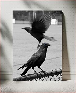 Πίνακας, Crows in Focus Κοράκια στο επίκεντρο