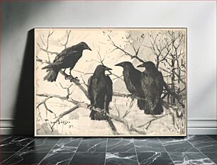 Πίνακας, Crows
